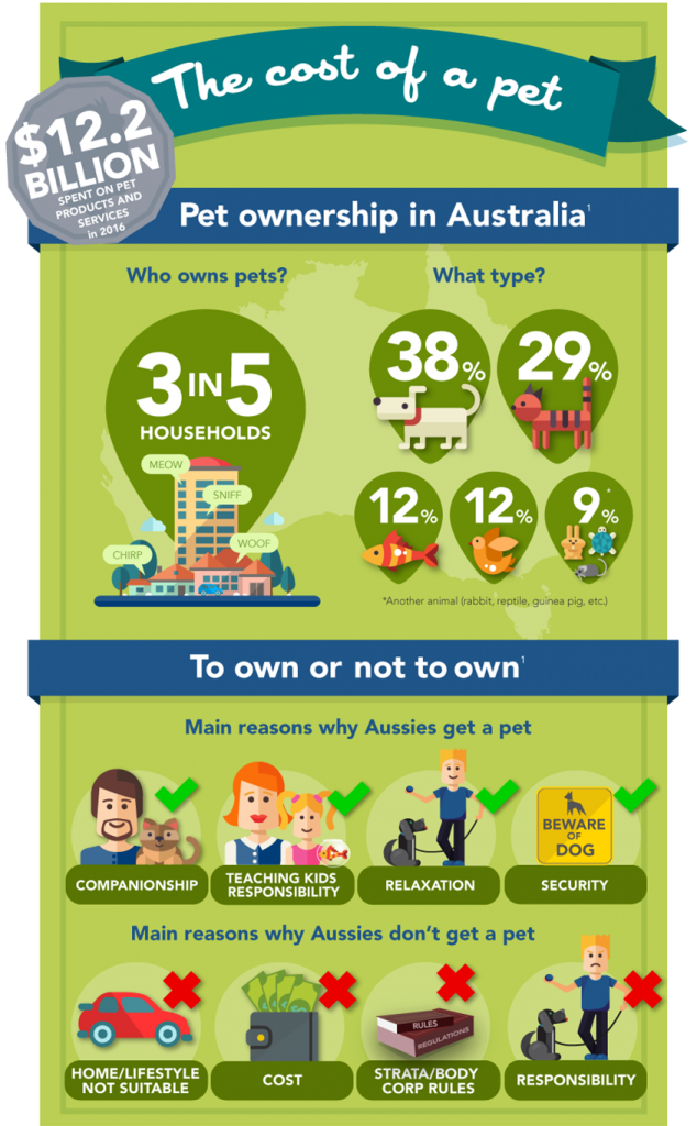 pet-infographic-1_845x1365